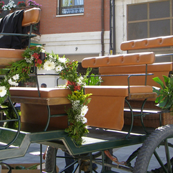 Decoración del Lugar - Floristeria Lucy