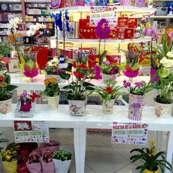 Ocasiones Especiales - Floristeria Lucy