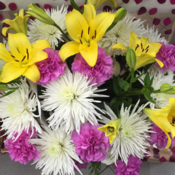 Ocasiones Especiales - Floristeria Lucy